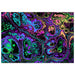 Little Squiffy Print Material Neon Psychedelic Marble Aluminum Print Wall Art