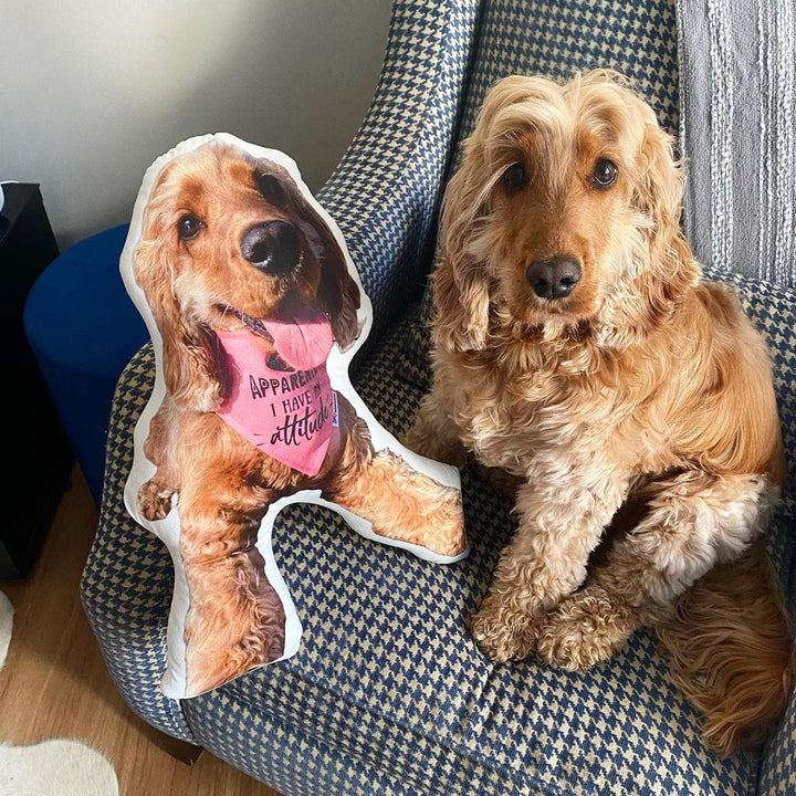 Custom Photo Pet Pillow Custom Dog Photo Pillow