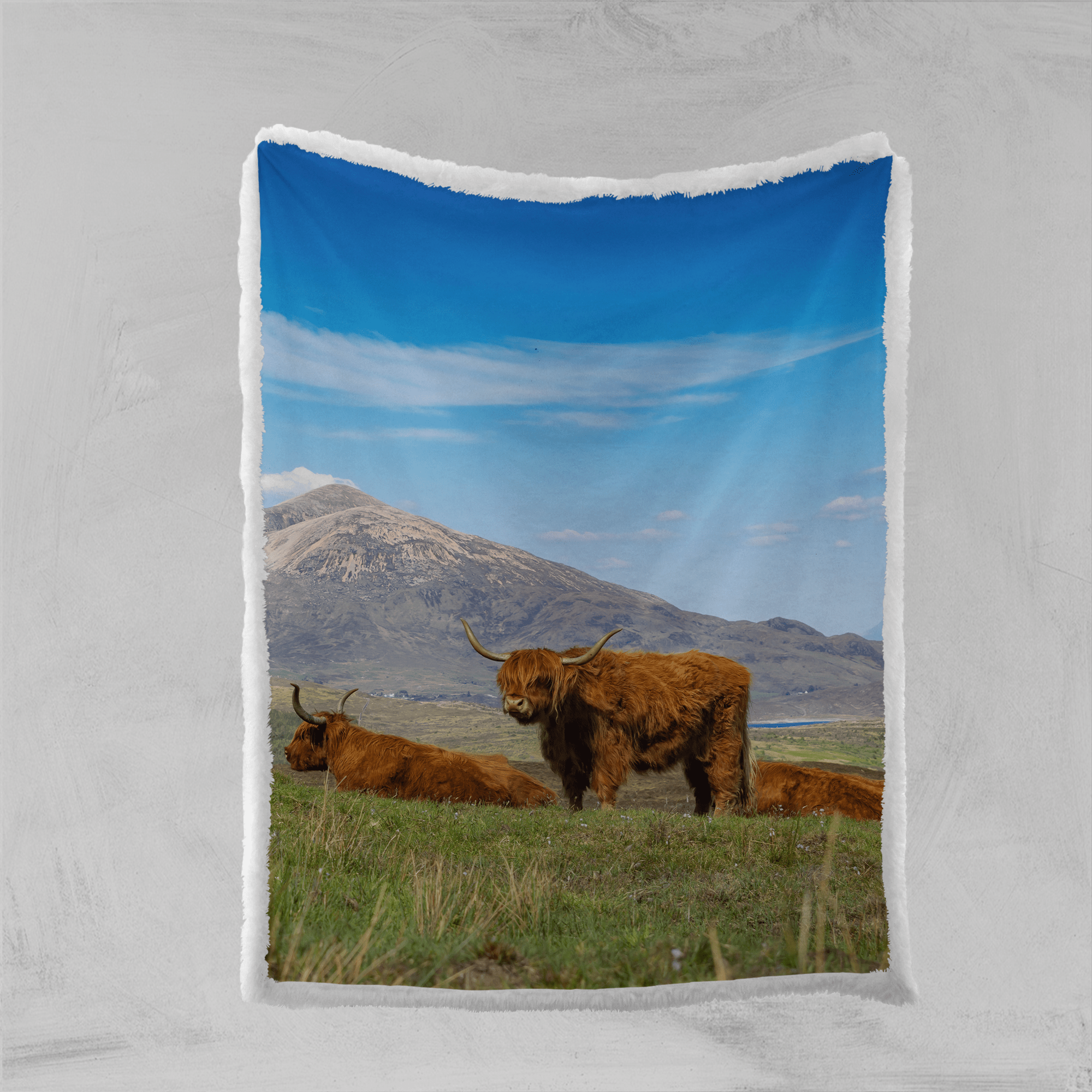 Highland Cow Country Blanket-Fluffy Highland Cow-Little Squiffy