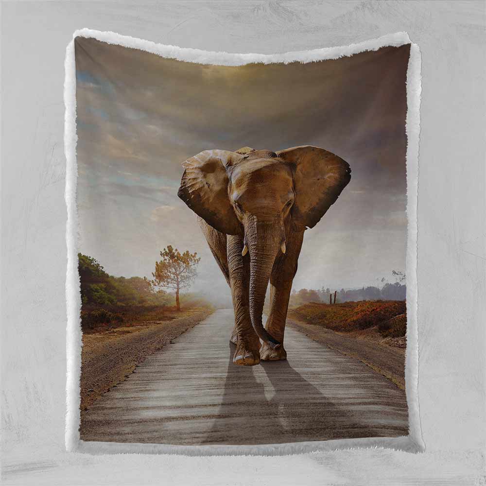 Walking With Elephants Blanket-Walking With Elephants-Little Squiffy